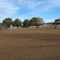 Large arena at Rosewood Arabians